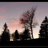 20111127_298